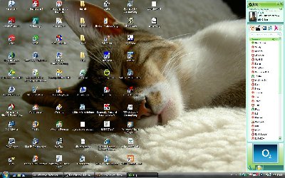 RigoDesktop052008.jpg